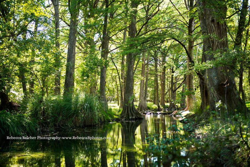 river_road_camp-wimberley